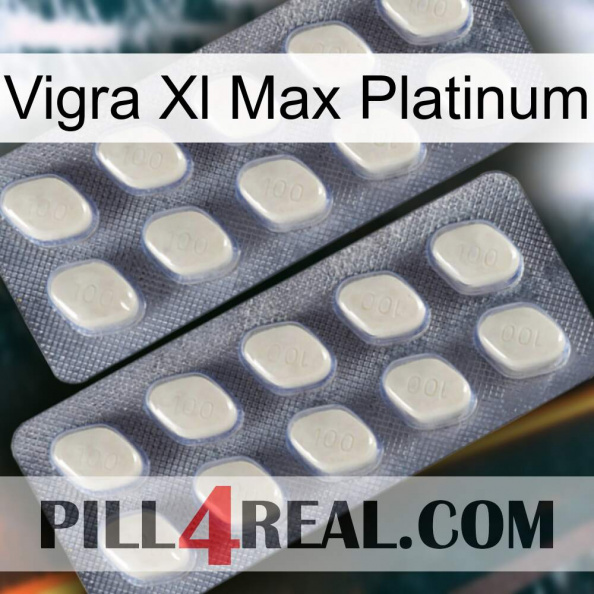 Vigra Xl Max Platinum 07.jpg